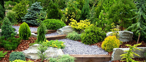 Baumpflege, Wedekind Christoph, Baumfällung, Problembaumfällung, Baumpflanzung, Heckenschnitt, Hecke schneiden, Heckenpflege, Gartengestaltung, Magdeburg, Altmark, Osterburg, Barleben, Sachsen Anhalt,